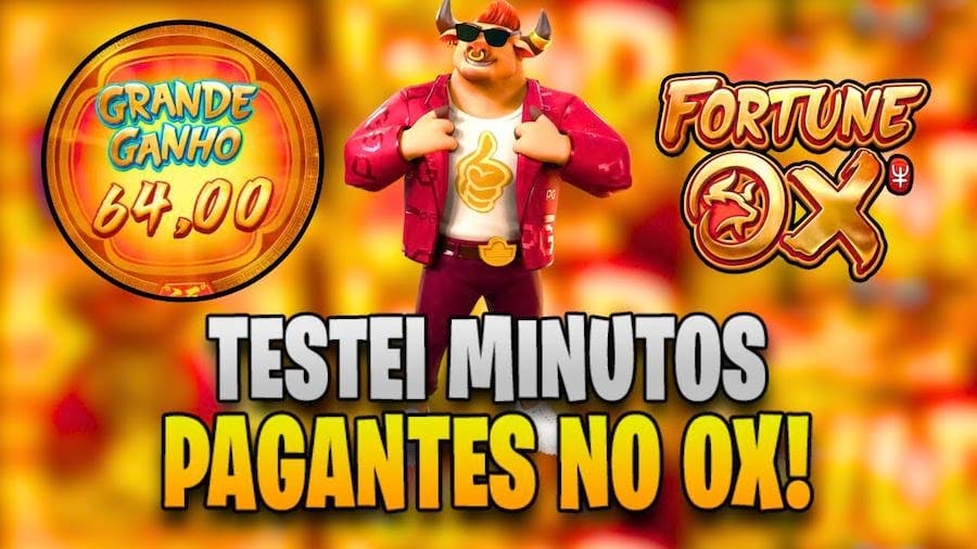 tamanho 7y no brasil