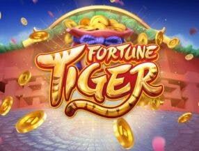 site jogos futebol ao vivo
